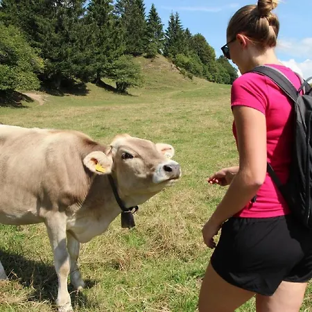 Homestay szállás Haus Bagci